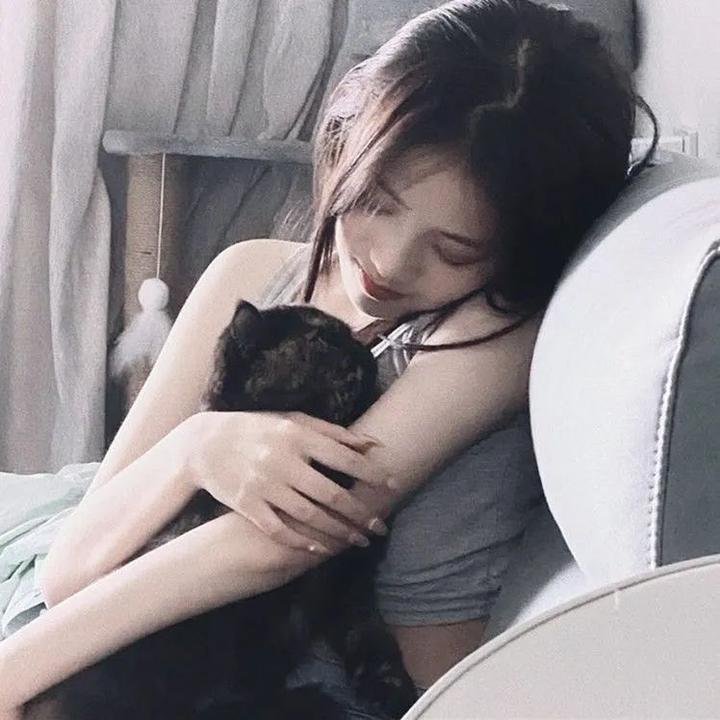 大盗贺钦布龙兹